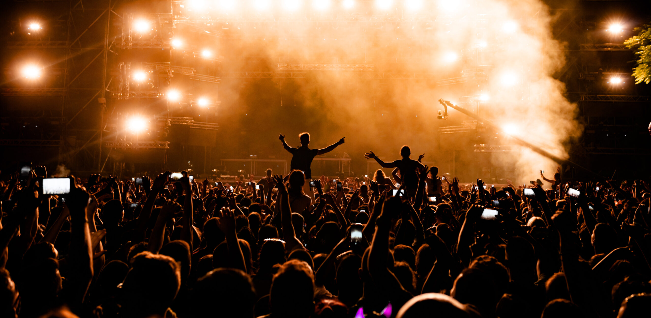 rear-view-of-fans-with-smart-phones-in-front-of-st-2024-12-13-23-00-12-utc